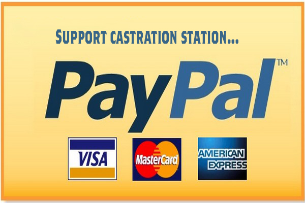 paypal donate button copy